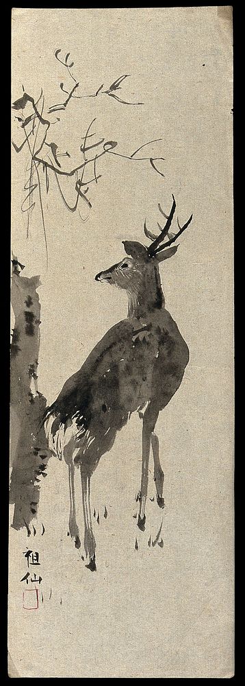 A reindeer in a landscape. Ink and wash painting on paper.