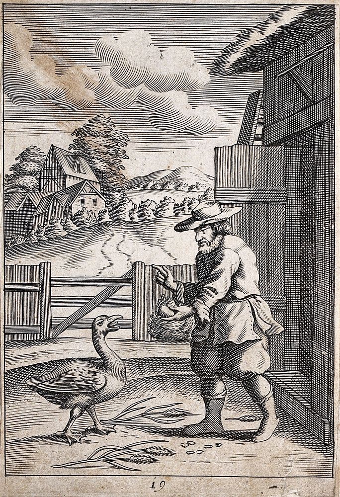 A peasant coming out of a barn is showing an egg to a goose; illustration of a fable. Etching.