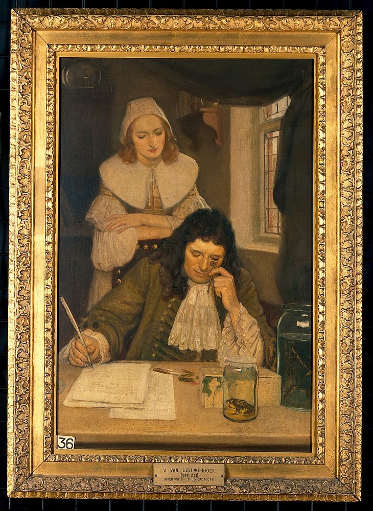 Leeuwenhoek with his microscope. Oil painting by Ernest Board.