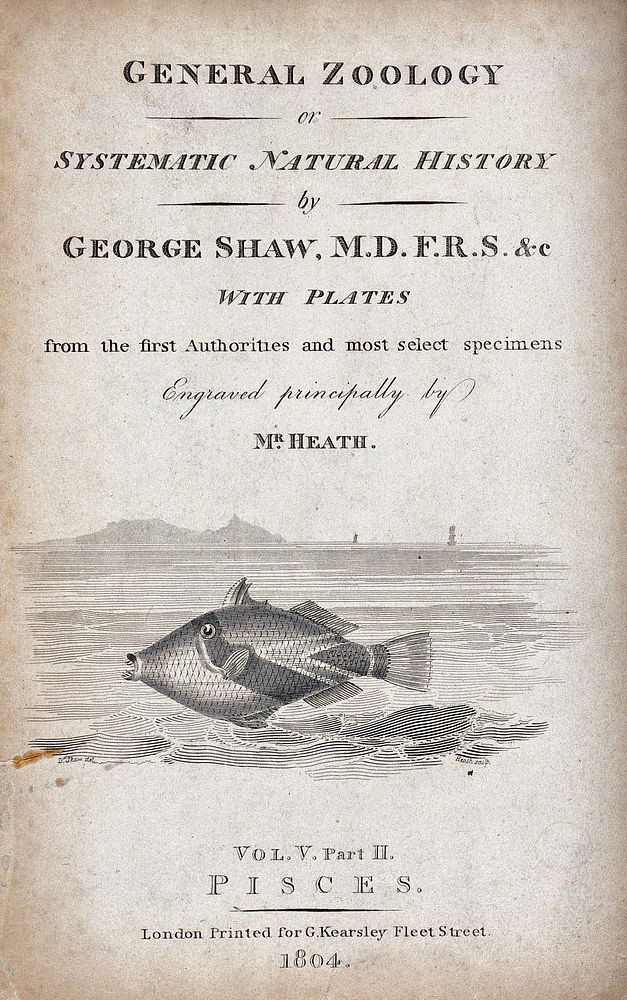A fish swimming in the sea. Engraving by J. Heath, 1804.