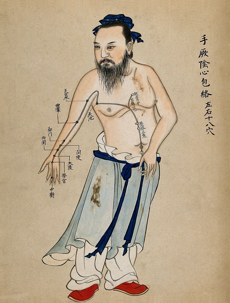 Acupuncture chart with a series of points indicated on the figure of a standing Chinese man, demonstrating acupuncture…