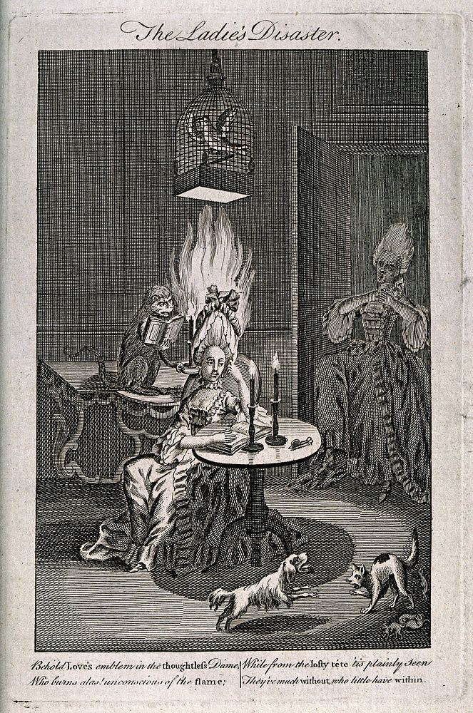 A woman seated at a table, and underneath a parrot in a cage suspended from the ceiling, unaware that her wig has been set…