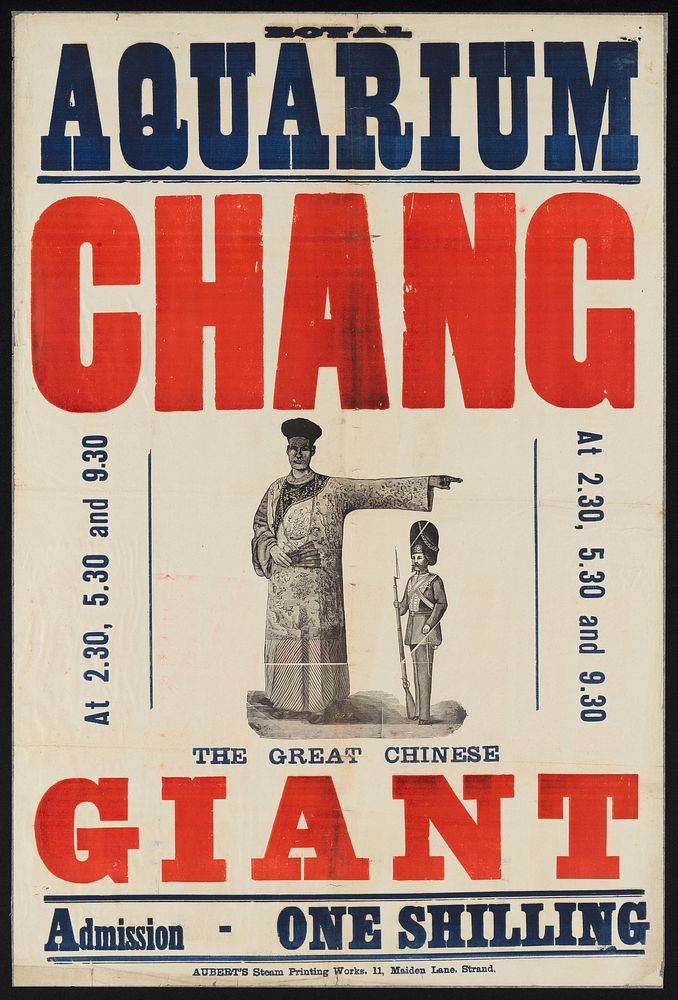 Royal Aquarium : Chang, the great Chinese giant : admission one shilling.