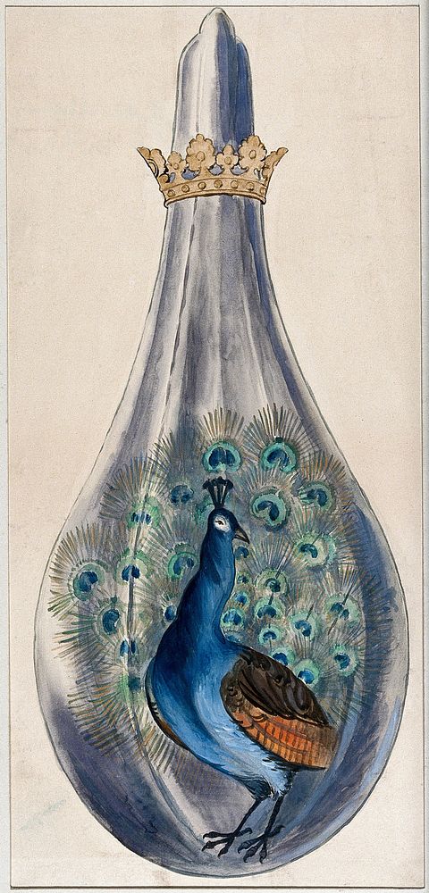A peacock in a crowned alchemical flask; representing the stage in the alchemical process when the substance breaks out into…