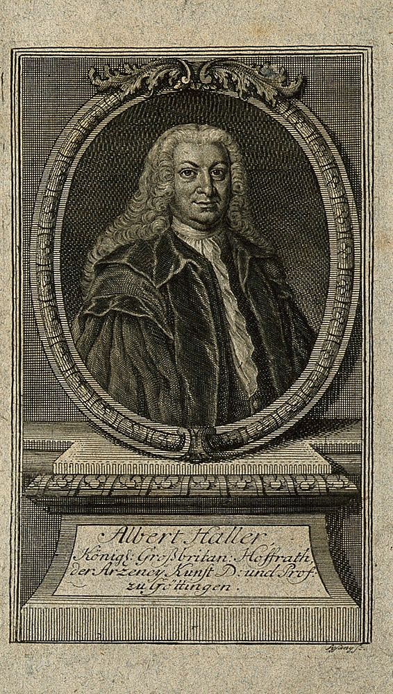 Baron Albrecht von Haller. Line engraving by J.C. Sysang.