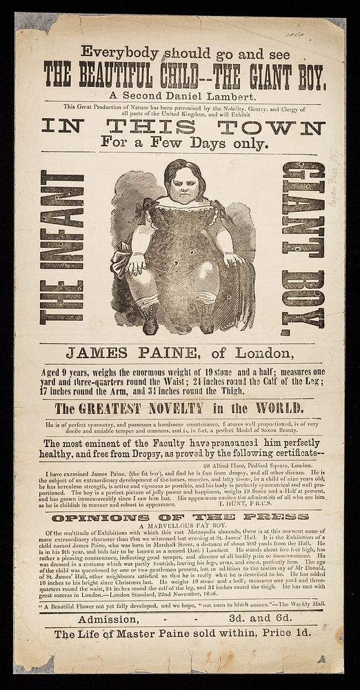 Everybody should go and see the beautiful child -- the giant boy, a second Daniel Lambert ... : James Paine, of London, aged…