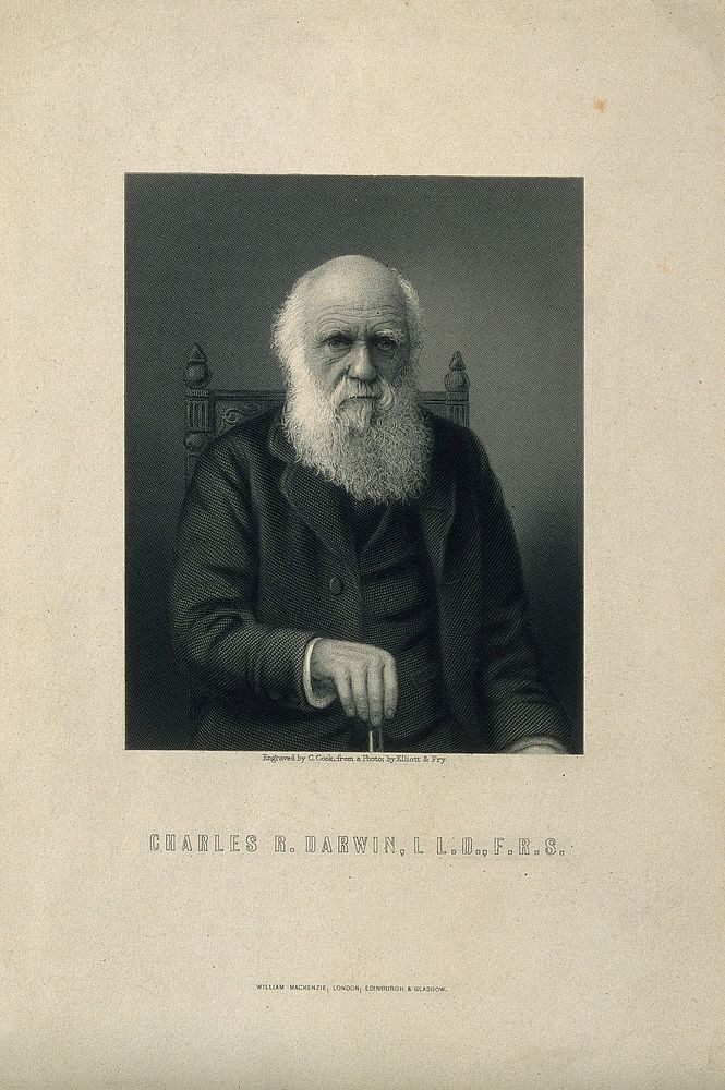 Charles Robert Darwin. Line engraving by C. Cook after Elliot & Fry.