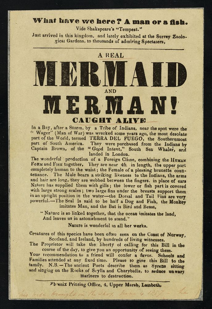 [Leaflet advertising an appearance of a real mermaid and merman (caught off Terra del Fuego). Location not disclosed but…