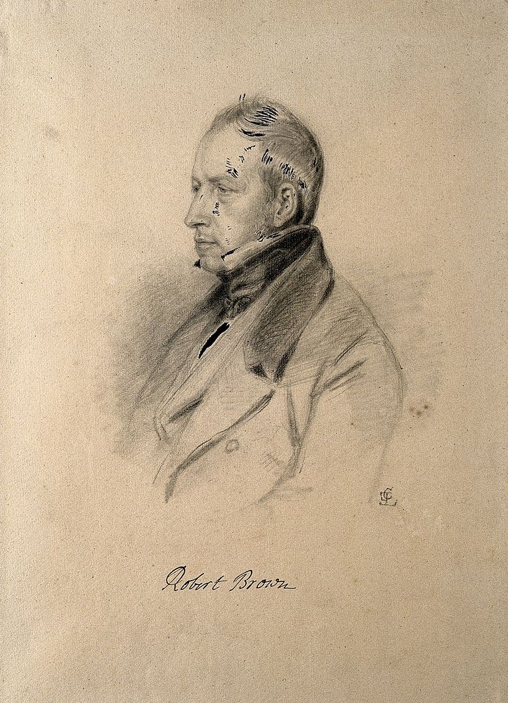 Robert Brown. Pencil drawing by C. E. Liverati, 1841.