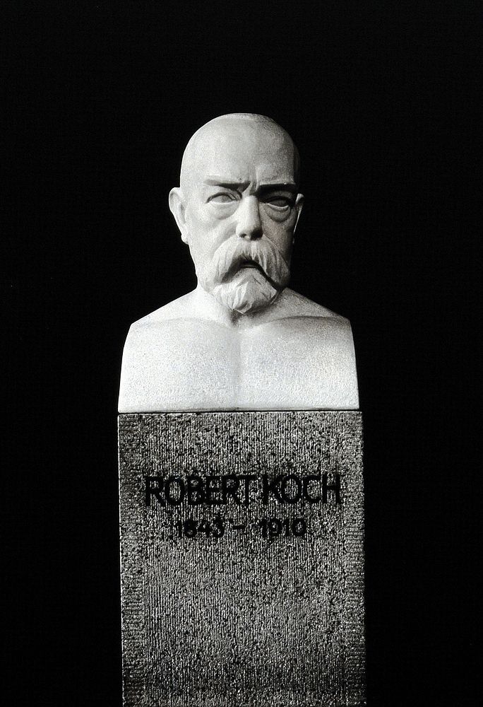 Robert Koch. Photograph after a bust by Edmund Moeller, 1932.