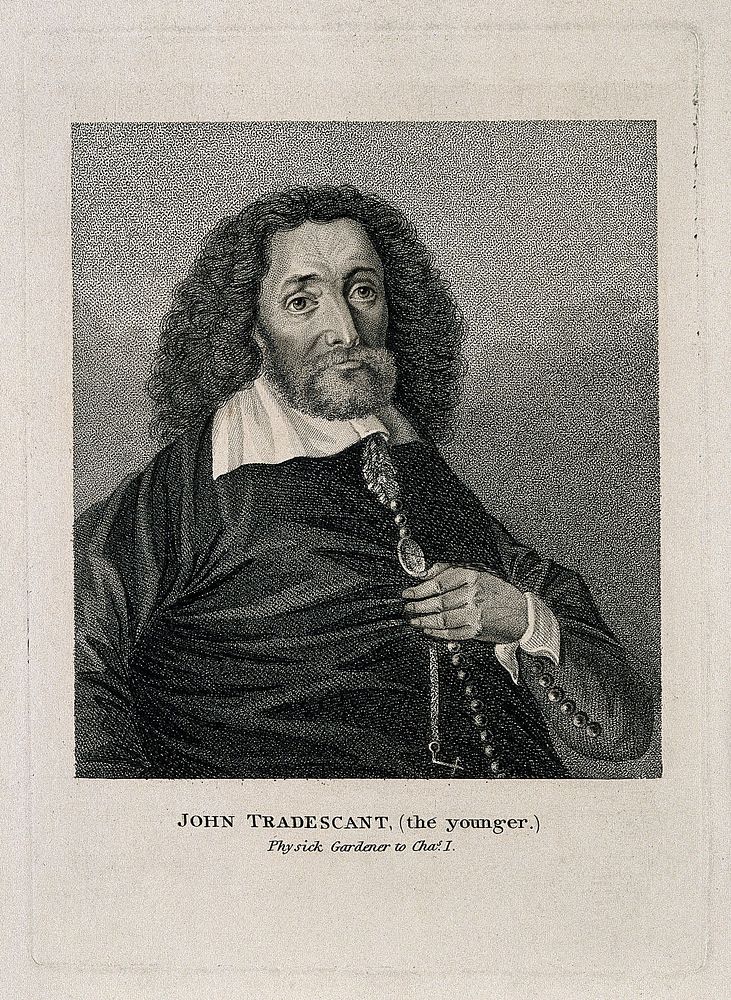 John Tradescant II. Stipple engraving.