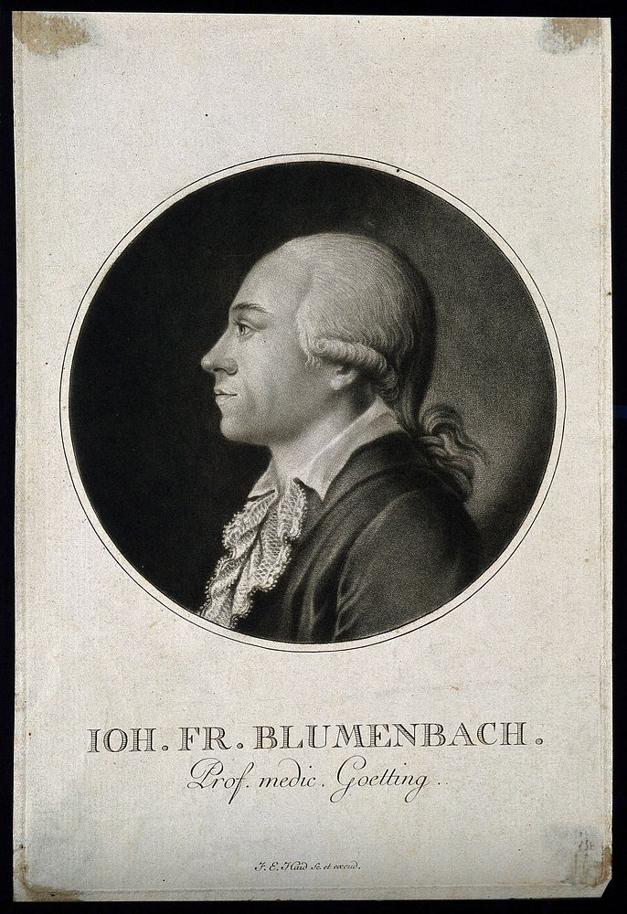 Johann Friedrich Blumenbach. Mezzotint by J.E. Haid.