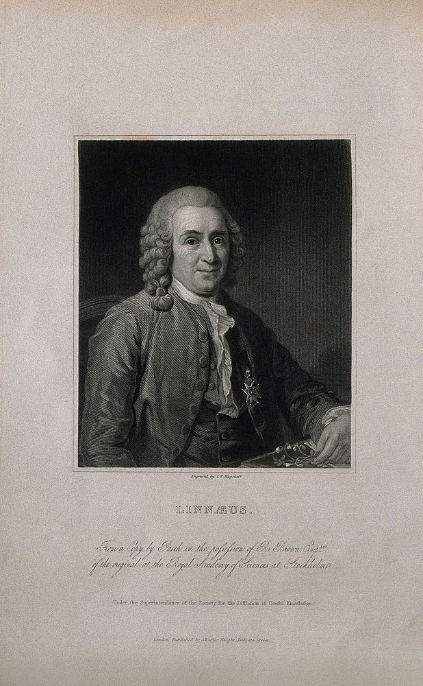 Carolus Linnaeus. Engraving by C. E. Wagstaff after A. Roslin, 1775.