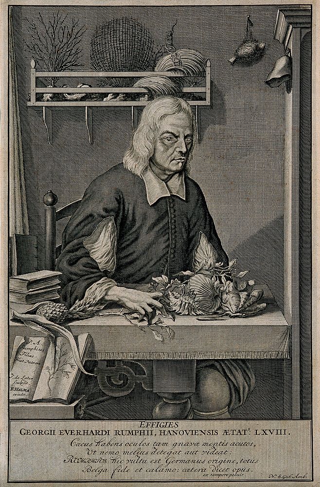Georg Eberhard Rumpf. Line engraving by J. de Later after P. A. Rumpf.