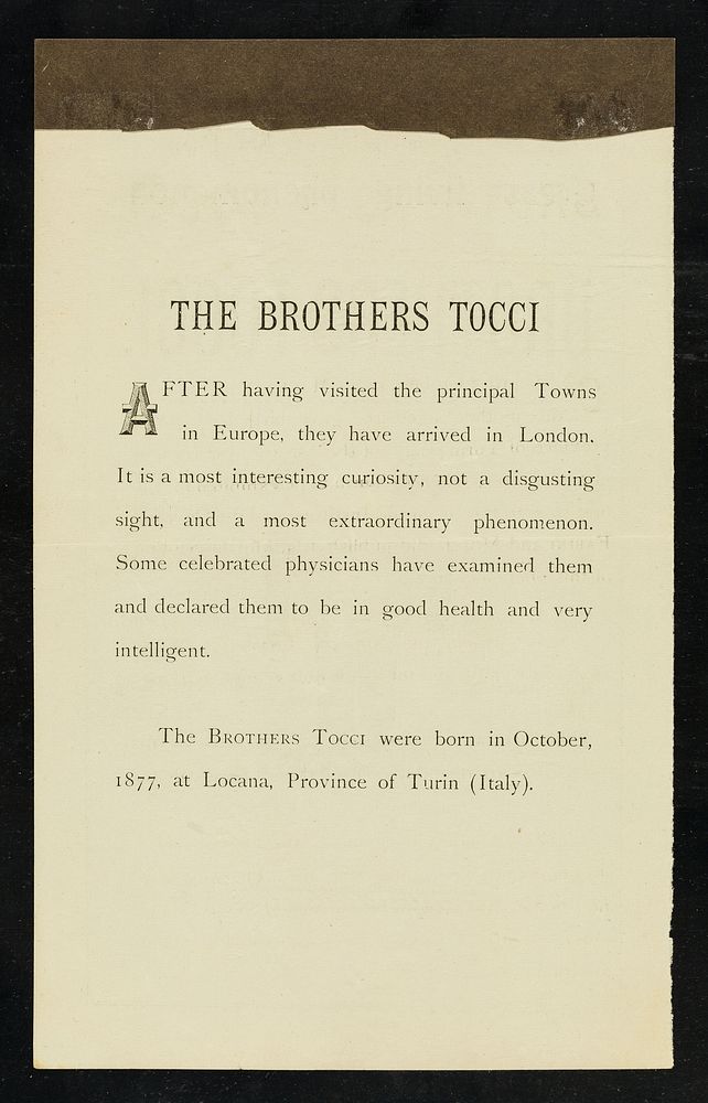 [Leaflet advertising appearances in London by The Brothers Tocci, conjoined twins, born in Locana, Italy in 1877].