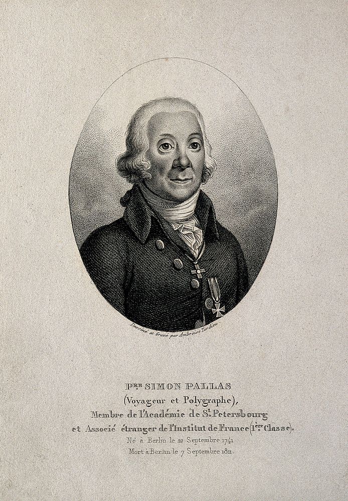 Peter Simon Pallas. Stipple engraving by A. Tardieu after himself.