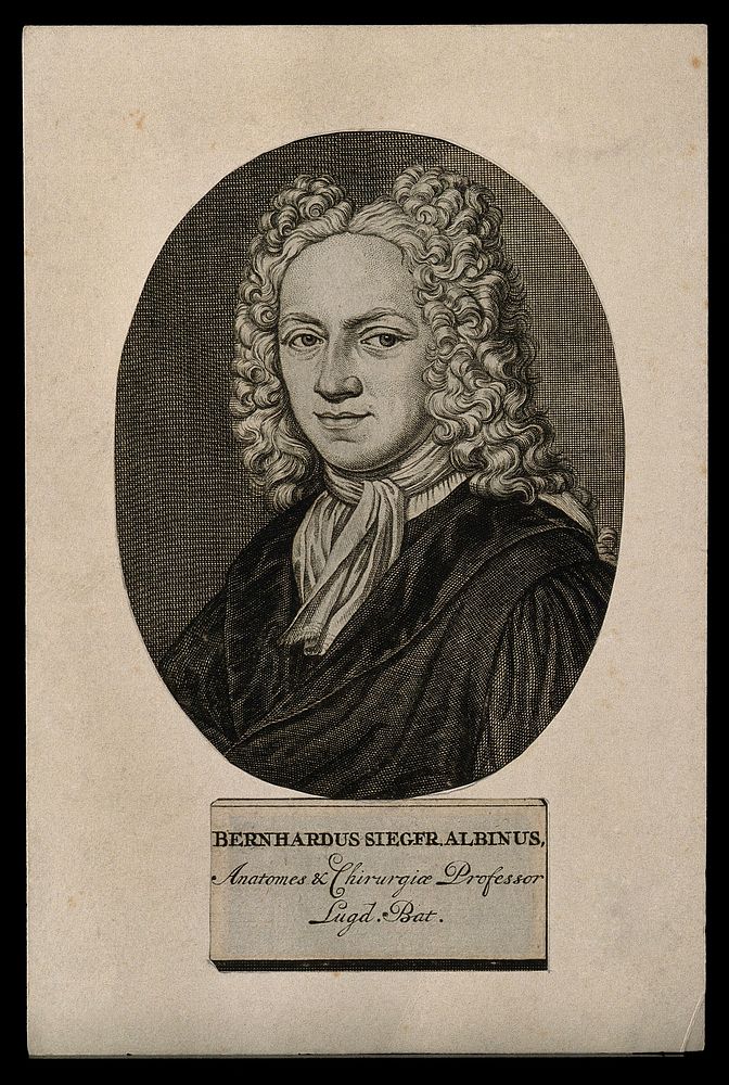 Bernhard Siegfried Albinus. Line engraving.