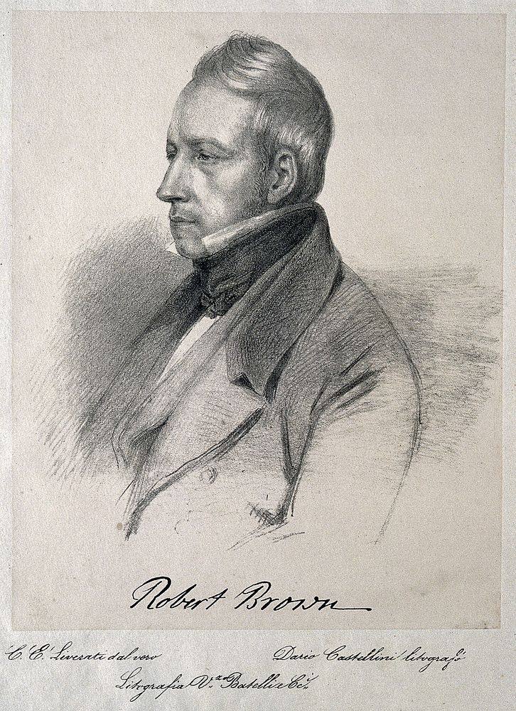 Robert Brown. Lithograph by D. Castellini after C. E. Liverati, 1841.