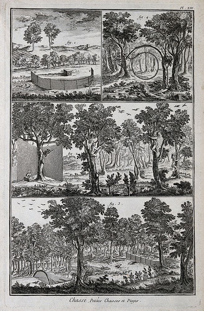 Hunting: nets and snares for catching ground birds. Engraving, c.1762, by B.-L. Prevost.