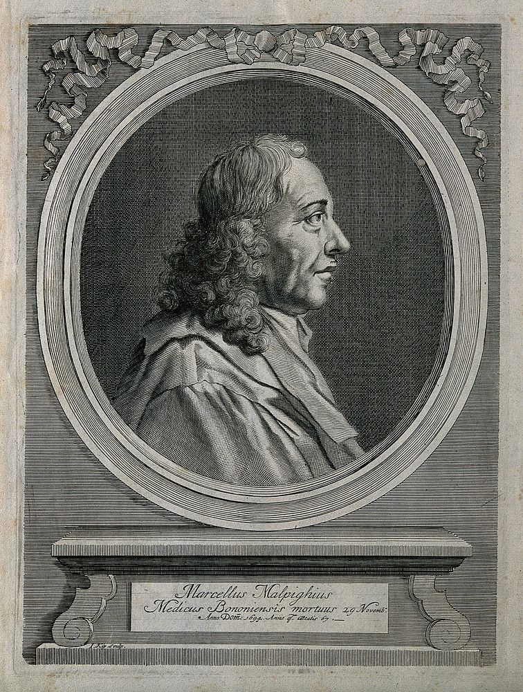 Marcello Malpighi. Line engraving by J. Kip, 1697.