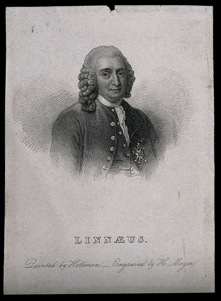 Carolus Linnaeus. Stipple engraving by H. Meyer after Hollmann.