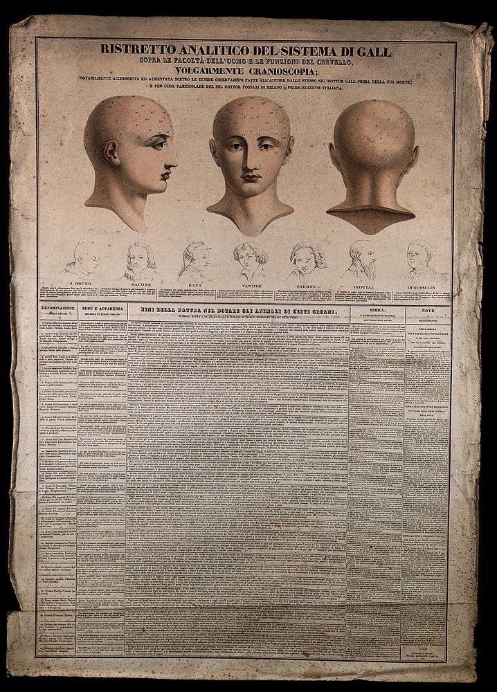 Phrenological chart with three figures of a head and sketches of the heads of famous men. Coloured lithograph, 1836.