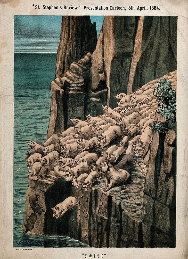 Gadarene swine throwing themselves off a cliff into water, representing the British Liberal Party. Colour lithograph by Tom…