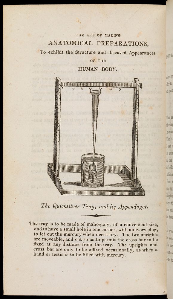 The anatomist's vade mecum: containing the anatomy and physiology of the human body / [Robert Hooper].