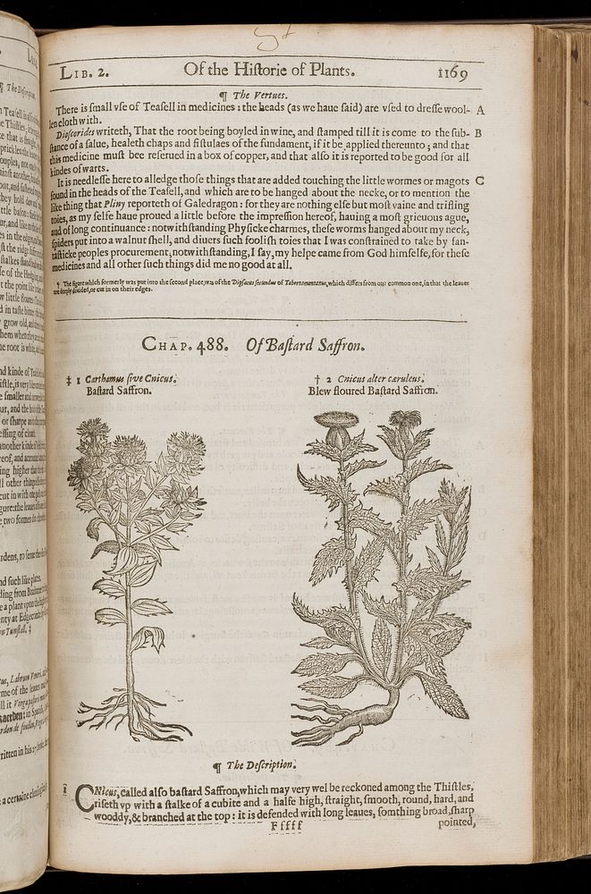 The herball, or general historie of plantes / Gathered by John Gerarde ... Very much enlarged and amended by Thomas Johnson.