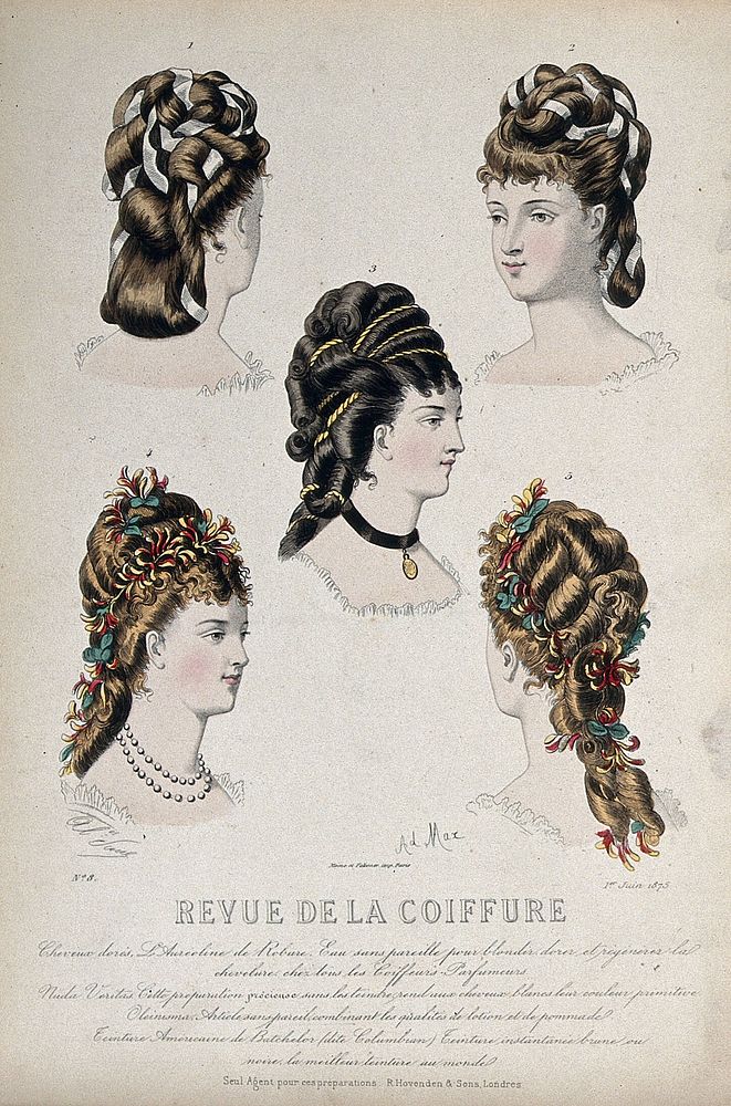 The heads of five women with their hair combed back and dressed with chignons, ribbons, twine and artificial honeysuckle.…