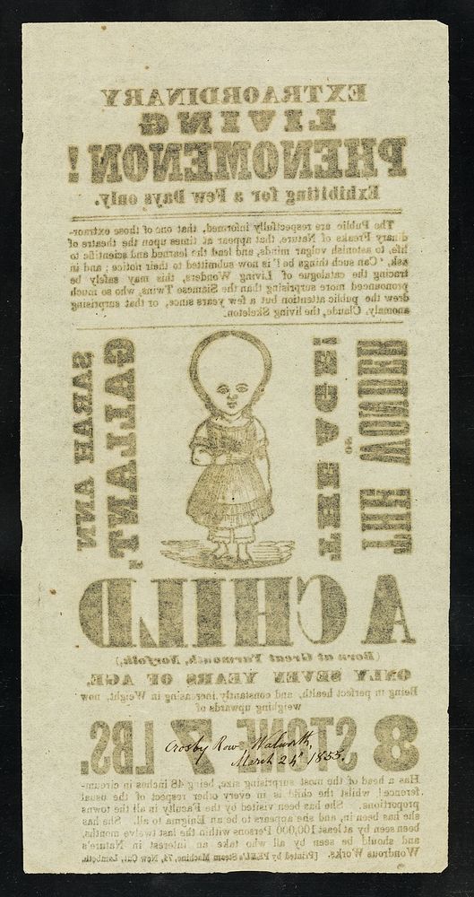 [Undated Victorian handbill (London, 1855) advertising an appearance by Sarah Ann Gallant of Great Yarmouth, 7 years old, 8…