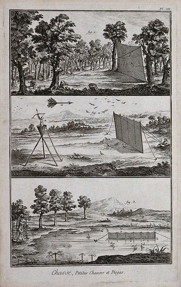 Hunting: nets and hides for catching ground birds. Engraving, c.1762, by B.-L. Prevost.