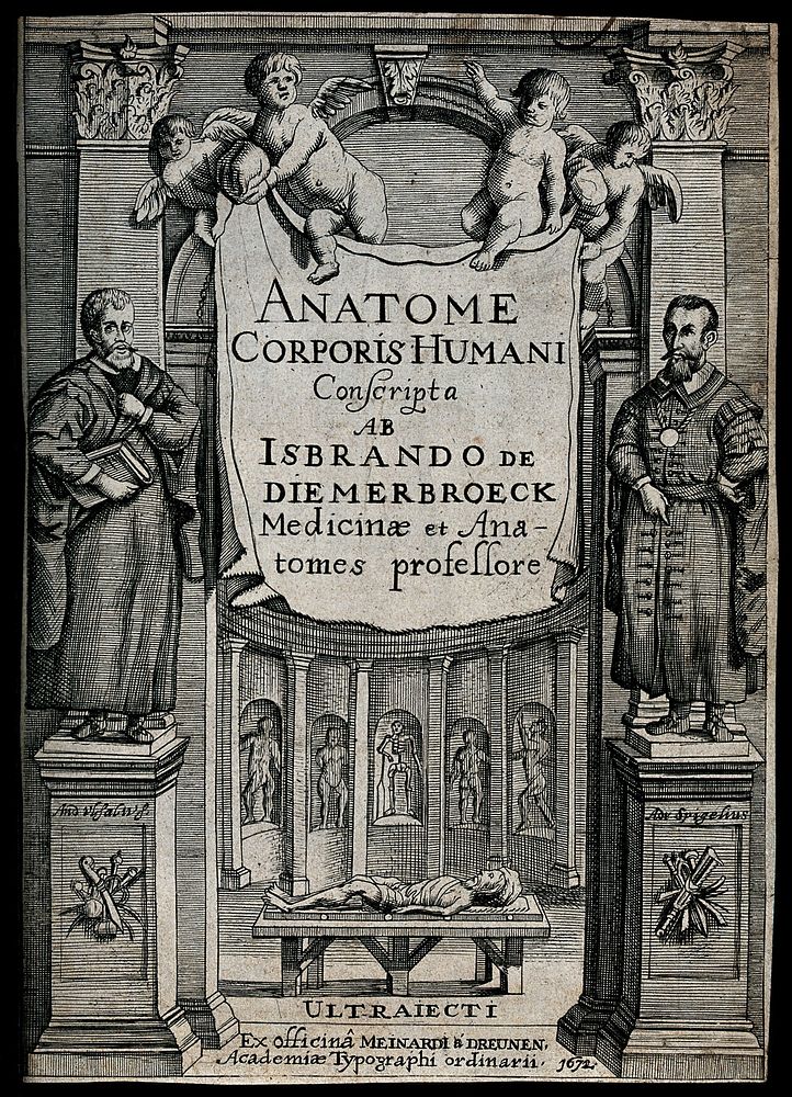An anatomy theatre with statues of the anatomists Vesalius and Spigelius; a corpse on a table in the background. Engraving…