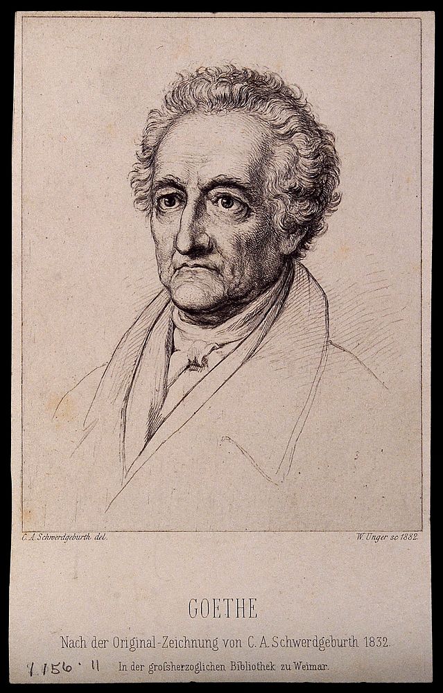 Johann Wolfgang von Goethe. Etching by W. Unger, 1882, after Carl August Schwerdgeburth, 1831.