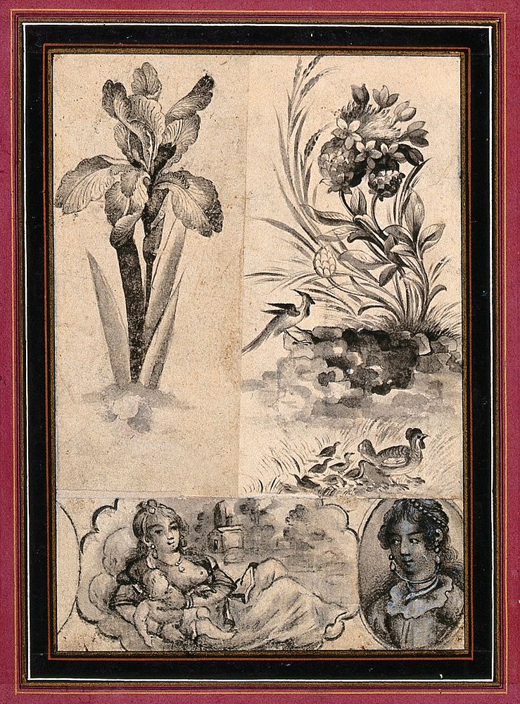 An iris; flowers and birds; two ladies, one with a baby. Ink drawings.