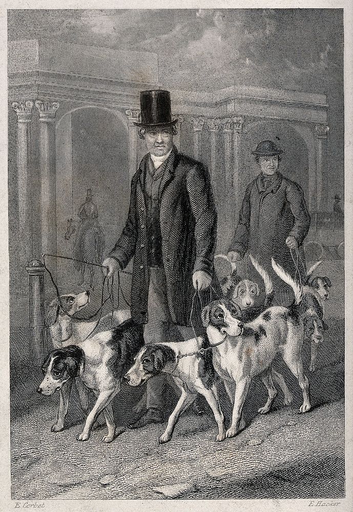 A man in a top hat walking his dogs. Etching by E. Hacker after E. Corbet.