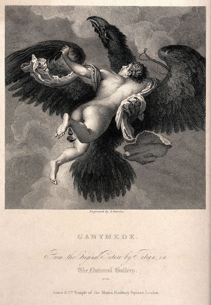 Ganymede. Engraving by J. Outrim after D. Mazza.