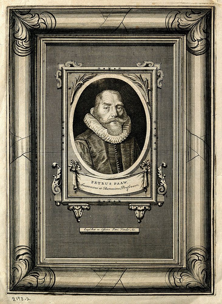 Pieter Paaw [Pauw, Pavius]. Line engraving.