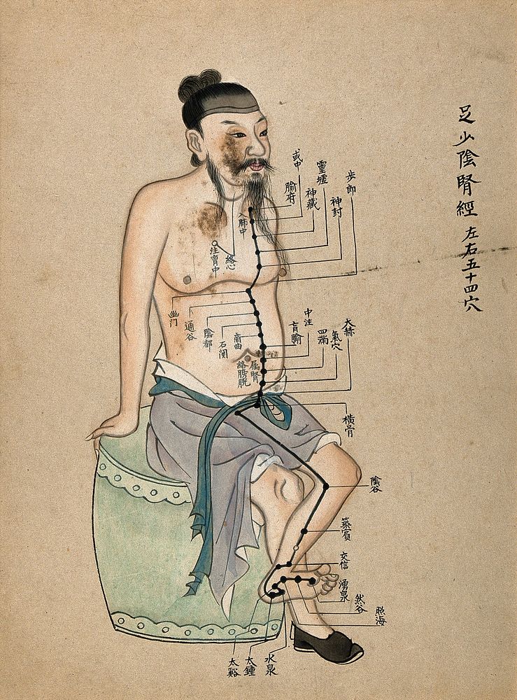Acupuncture chart with a series of points indicated on the figure of a seated Chinese man. Watercolour, 17--.