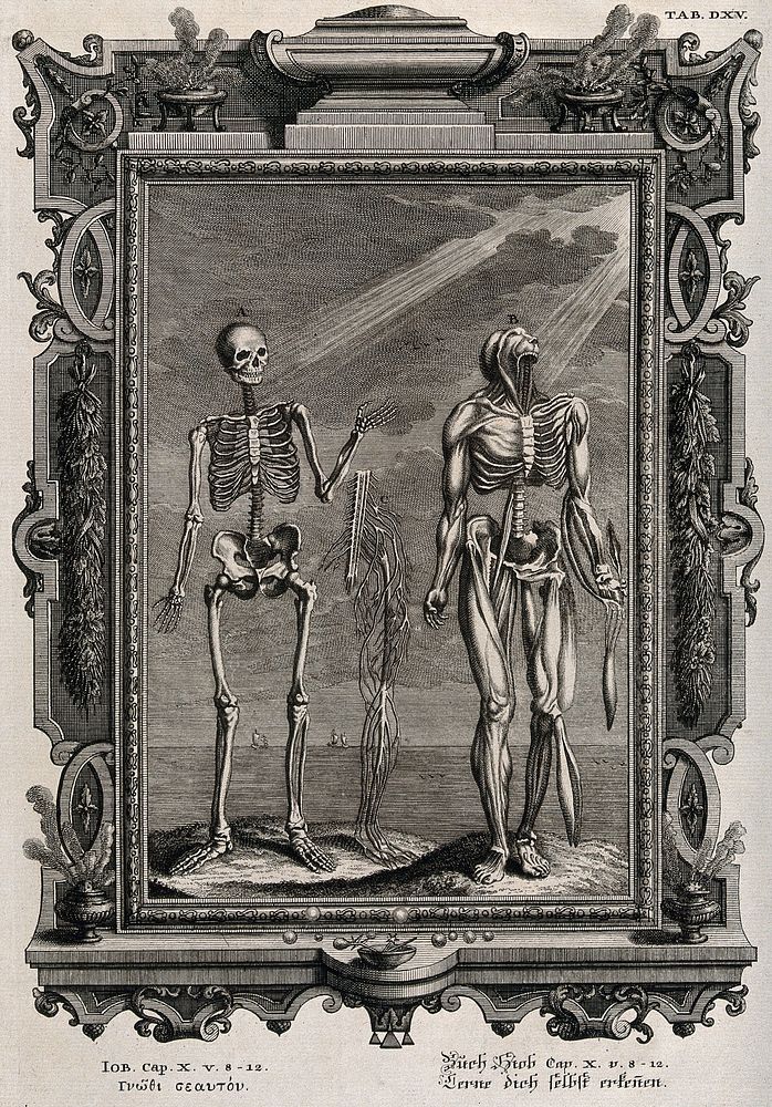 Anatomical figures on a cliff by the sea, their heads illuminated by light. Line engraving and etching by B. Probst, 1735.