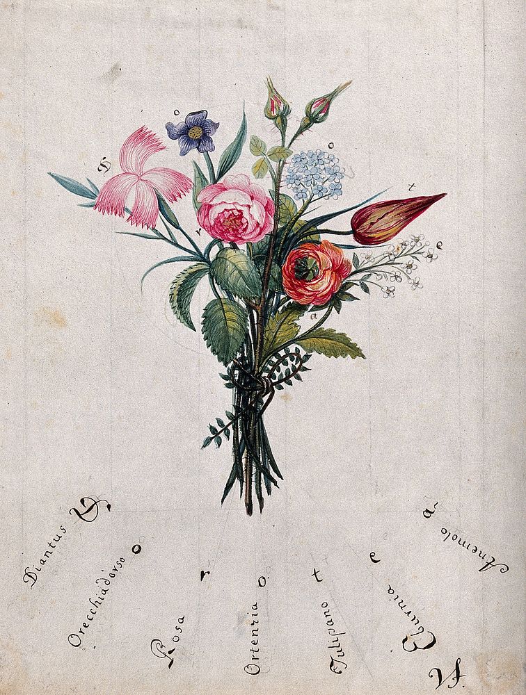 A bunch of flowers, the initial letters of which are shown to spell "Dorotea". Watercolour by V.F.