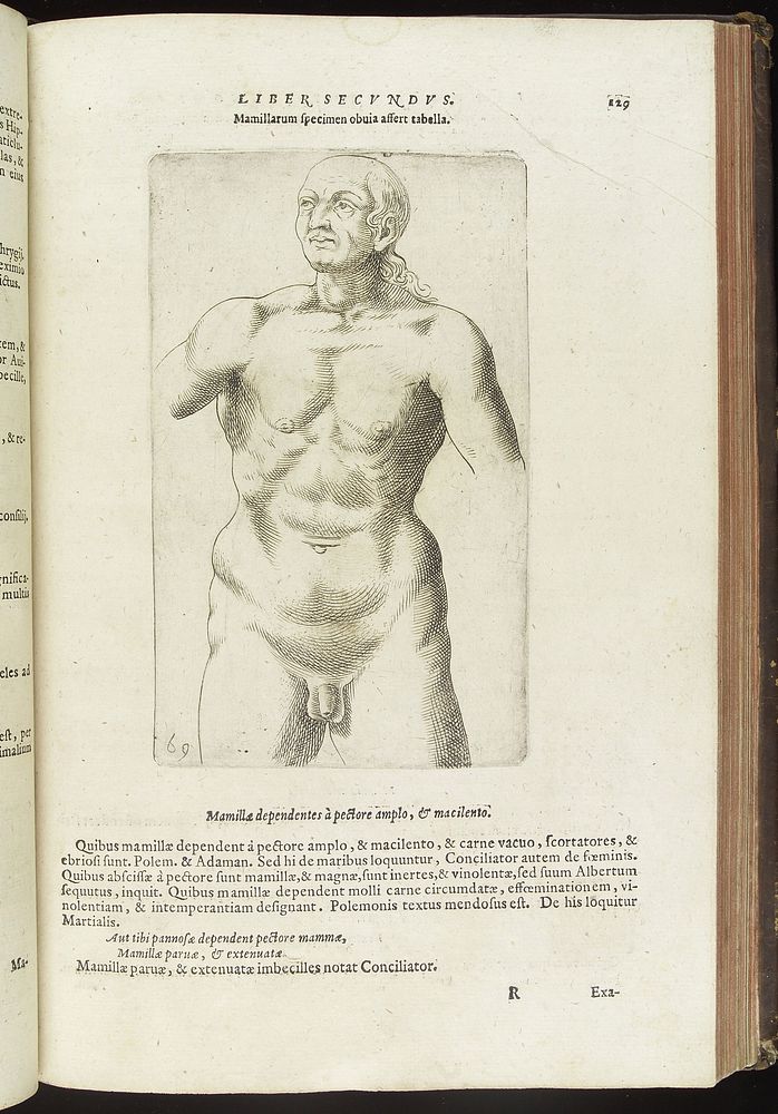 Illustration emphasizing the ancient pseudo-science of physiognomy which tries to determine a man's character from his…
