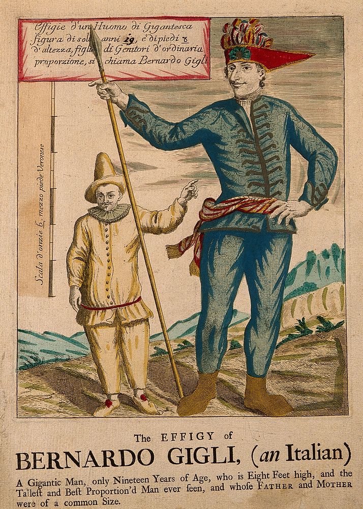 Bernardo Gigli, a giant. Coloured engraving.