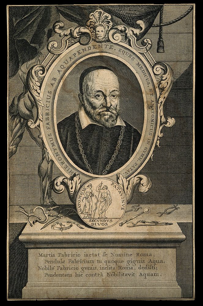 Hieronymus Fabricius of Aquapendente. Line engraving.