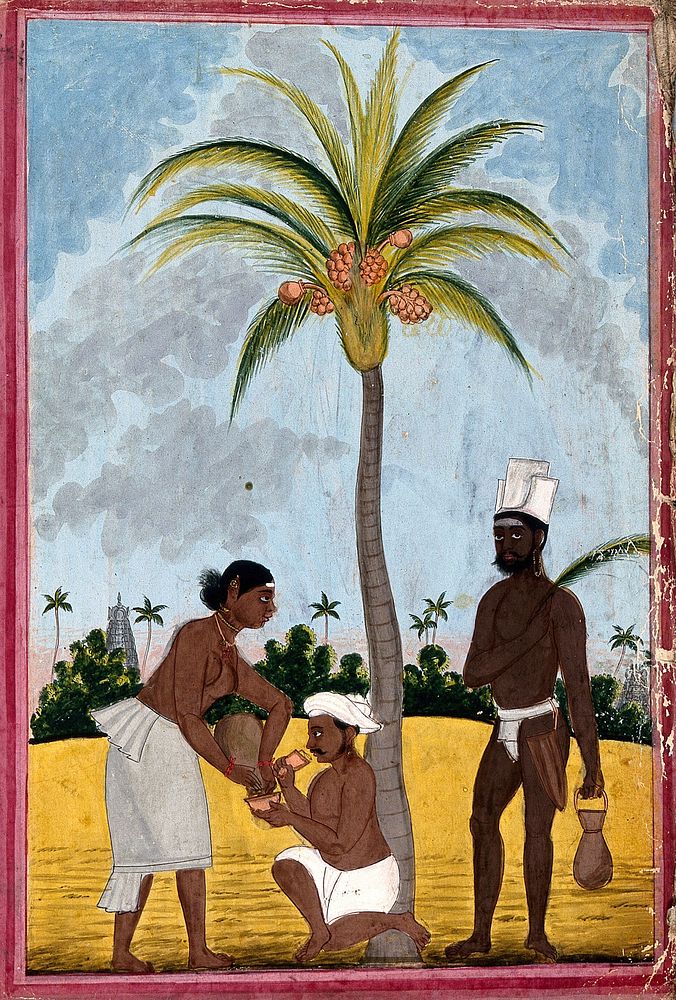 Toddy tappers at work: two men and a woman by a palm tree. Gouache drawing, 18--.