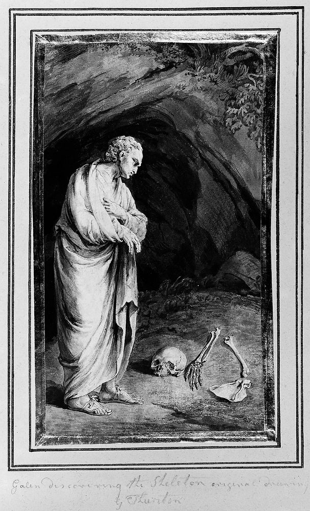 Galen discovering the remains of a human skeleton. Drawing by John Thurston.