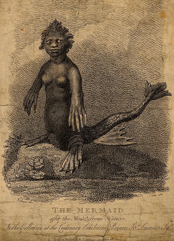 A mermaid, situated on a rock. Etching by J. Godby, 1814, after L. Gahagan.