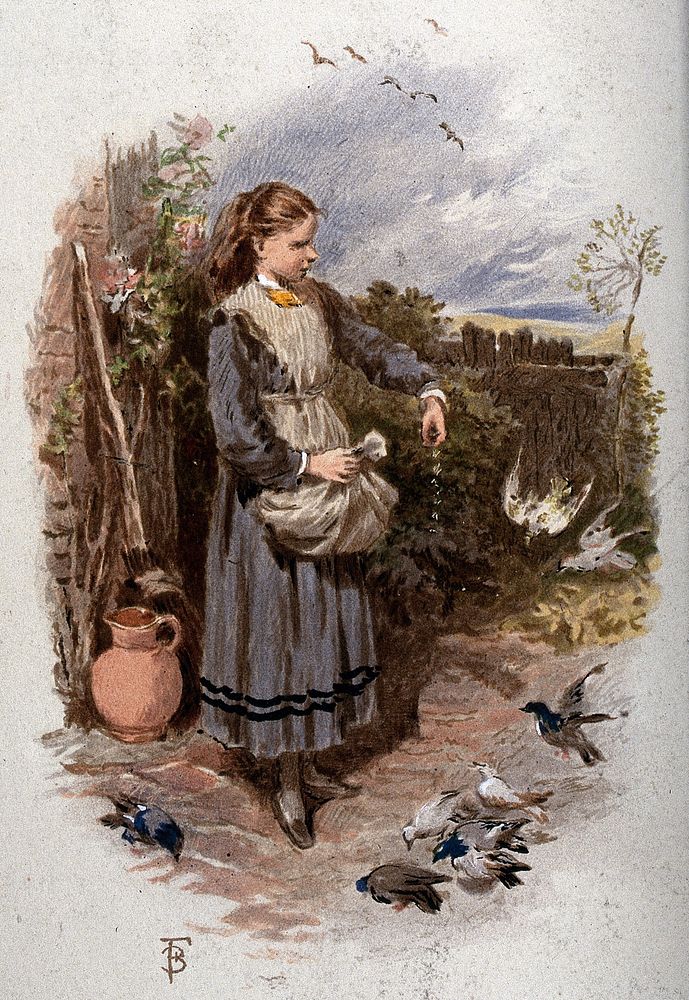 A girl feeding birds at her feet. Colour process print after M. Birket Foster.