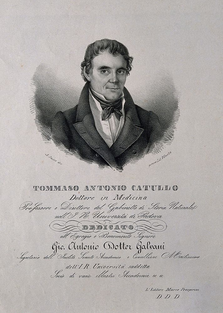 Tommaso Antonio Catullo. Lithograph by A. Sasso.