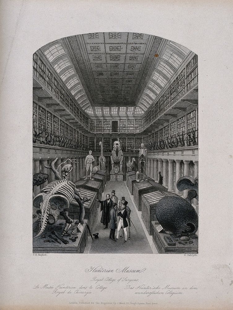 The Royal College of Surgeons, Lincoln's Inn Fields, London: the interior of the museum. Engraving by E. Radclyffe after T.…